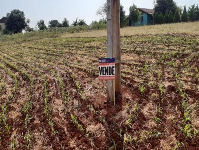 Terreno para Venda, em Marechal Cndido Rondon, bairro Distrito de Margarida