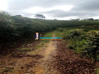 Stio para Venda, em Muzambinho, bairro Moambo