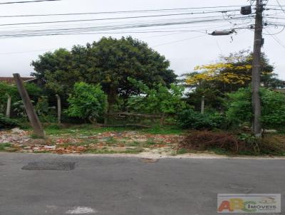 Terreno para Venda, em So Jos dos Pinhais, bairro In