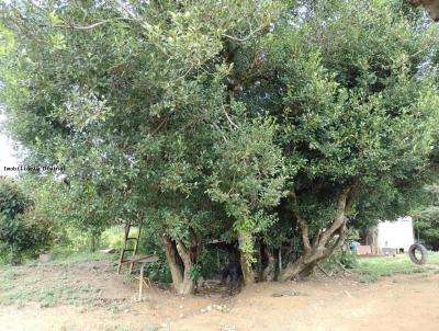 Stio para Venda, em Ouro Fino, bairro RURAL