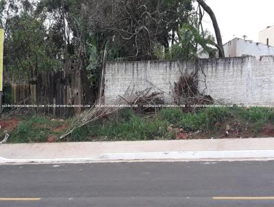 Terreno para Venda, em Ponta Por, bairro Jardim America