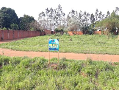 Terreno para Venda, em Ponta Por, bairro Sanga Puit