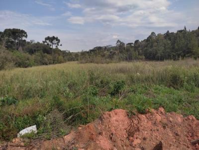 Terreno Urbano para Venda, em Tijucas do Sul, bairro Lagoinha