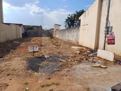 Terreno para Venda, em Rio Verde, bairro Centro