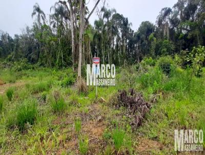 Terreno para Venda, em Balnerio Barra do Sul, bairro Costeira