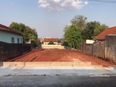 Terreno para Venda, em Assis, bairro Centro