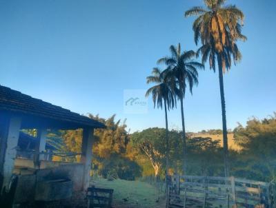 Stio para Venda, em Fortaleza de Minas, bairro ZONA RURAL, 3 dormitrios, 3 vagas