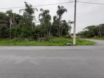 Terreno para Venda, em Barra Velha, bairro QUINTA DOS AORIANOS