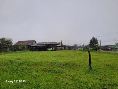 Terreno para Venda, em So Francisco de Paula, bairro Campo do meio