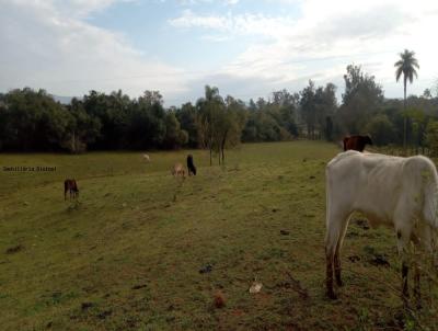 Chcara para Venda, em , bairro RURAL