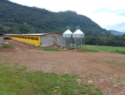 rea Rural para Venda, em Marau, bairro 