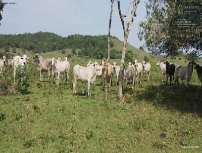 Fazenda para Venda, em Araruama, bairro So Vicente