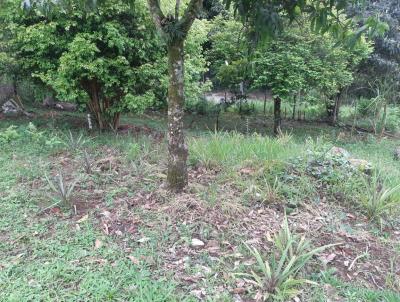 Terreno para Venda, em , bairro Vale da Beno