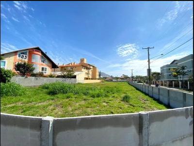 Terreno para Venda, em Florianpolis, bairro Ingleses do Rio Vermelho