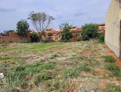 Lote para Venda, em Aparecida de Goinia, bairro Jardim Veneza