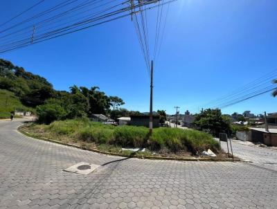 Terreno para Venda, em Cambori, bairro AREIAS