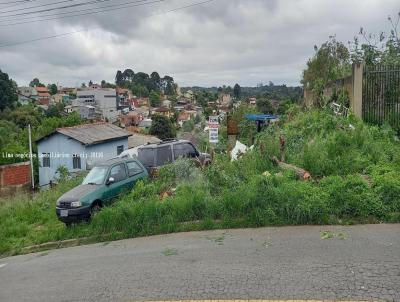 Terreno para Venda, em Campo Largo, bairro Vila Pompia