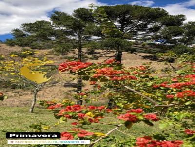 Fazenda para Venda, em Joanpolis, bairro Mantiqueira