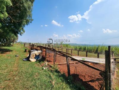 Chcara para Venda, em Jata, bairro ZONA RURAL, 3 dormitrios, 1 banheiro, 1 sute