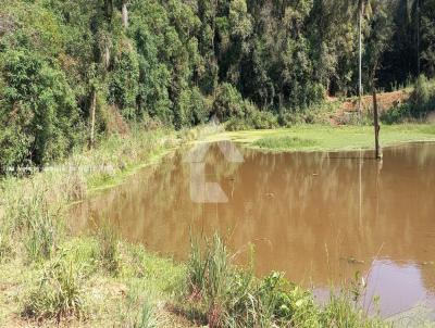 rea Rural para Venda, em Balsa Nova, bairro Balsa Nova