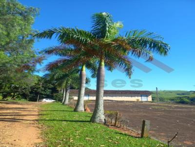 Fazenda para Venda, em Itapira, bairro Loteamento Popular Istor Luppi