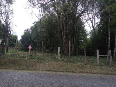 Terreno para Venda, em Taquara, bairro Petrpolis