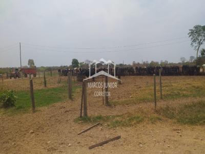 Fazenda para Venda, em Riachinho, bairro ZONA RURAL