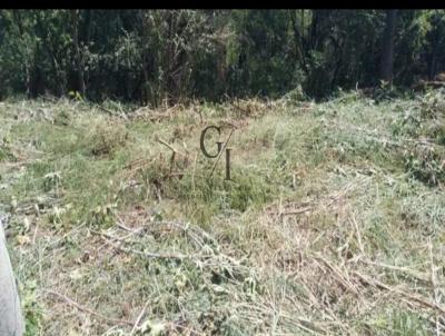 Lote para Venda, em Piracicaba, bairro Jardim Algodoal