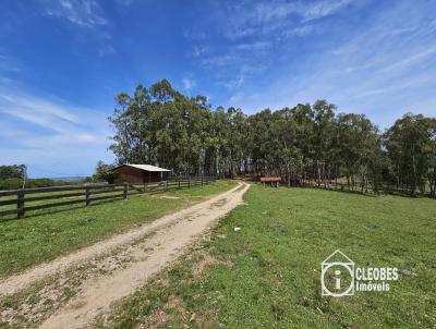 Fazenda para Venda, em Encruzilhada do Sul, bairro Interior