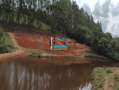 Chcara para Venda, em Muzambinho, bairro Patrimnio