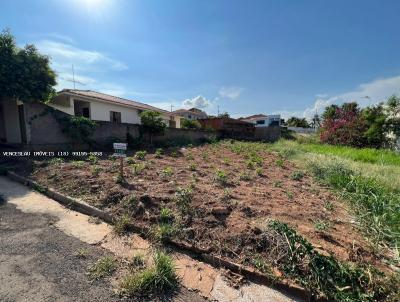 Terreno para Venda, em Presidente Venceslau, bairro SANTA MARIA