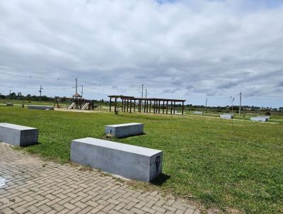 Terreno para Venda, em Osrio, bairro campestre