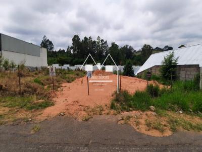 Lote para Venda, em Oliveira, bairro Santa Maria