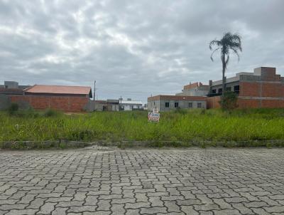 Terreno para Venda, em Barra Velha, bairro Quinta dos Aorianos