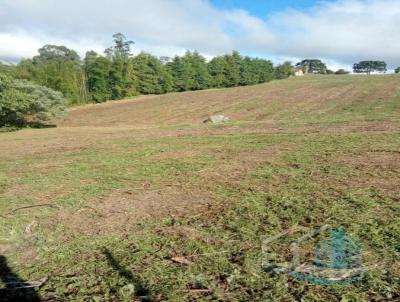 Terreno para Venda, em So Miguel Arcanjo, bairro Abaitinga, 1 dormitrio, 1 banheiro, 1 vaga