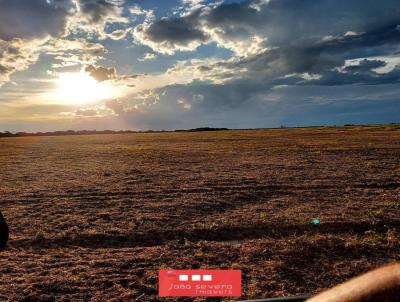 Fazenda para Venda, em Silvanpolis, bairro 