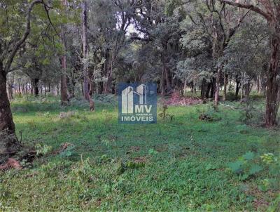 Terreno para Venda, em Guarapuava, bairro Jordo