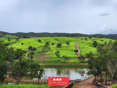 Fazenda para Venda, em Pirenpolis, bairro 