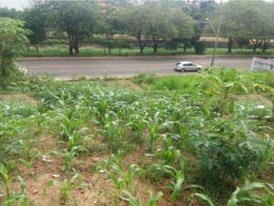 Terreno para Venda, em Limeira, bairro Jardim Cavinato