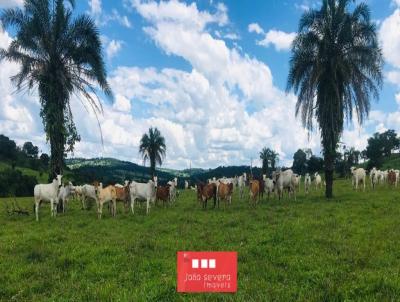 Fazenda para Venda, em Catura, bairro 