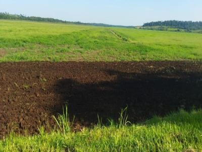 Fazenda para Venda, em Guia Lopes da Laguna, bairro Rural