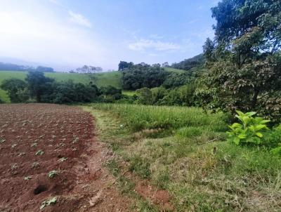 Terreno para Venda, em Pedra Bela, bairro Pitangueiras