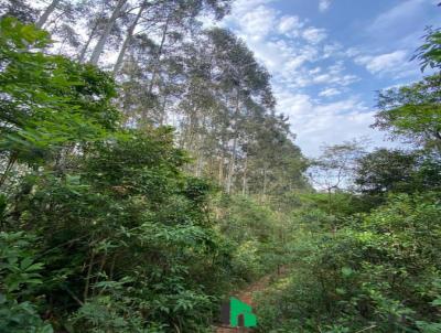 Chcara para Venda, em Colombo, bairro Cotovelo