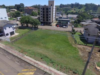 Terreno Comercial para Venda, em , bairro Aparecida