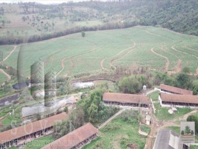 Fazenda para Venda, em Descalvado, bairro zona rural, 4 dormitrios, 4 banheiros, 4 vagas