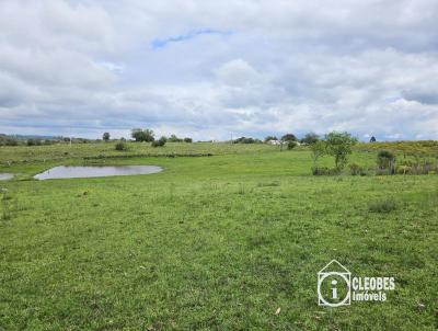 Stio / Chcara para Venda, em Encruzilhada do Sul, bairro Interior, 4 dormitrios, 2 banheiros