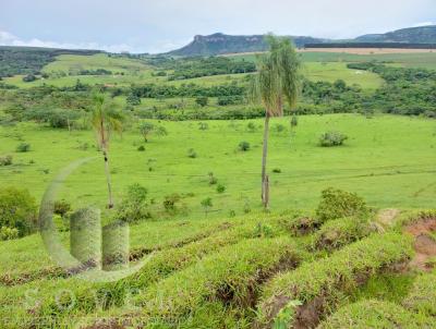 Stio para Venda, em Ipena, bairro zona rural, 2 dormitrios, 1 banheiro, 1 vaga