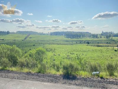 Campo para Venda, em Santana do Livramento, bairro Km 5