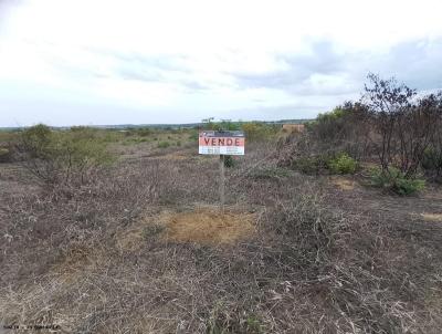 Terreno para Venda, em , bairro Jardim Primavera