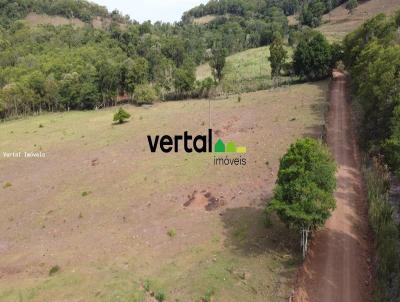 rea Rural para Venda, em Alecrim, bairro Interior - Rural - pecuria - agricultura - bovino - reflorestamento - lavoura
